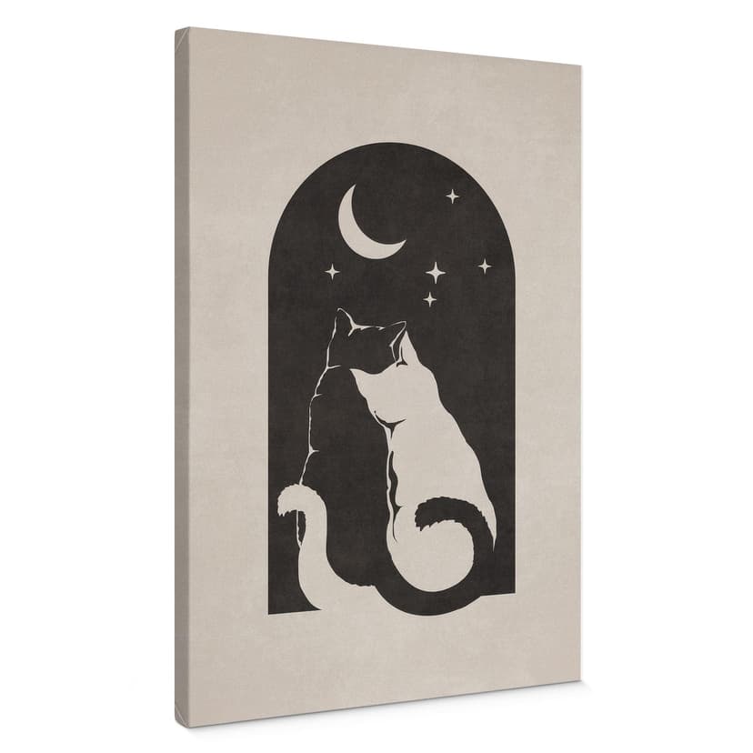 Stampe su tela Due gatti al chiaro di luna - Tunaboylu