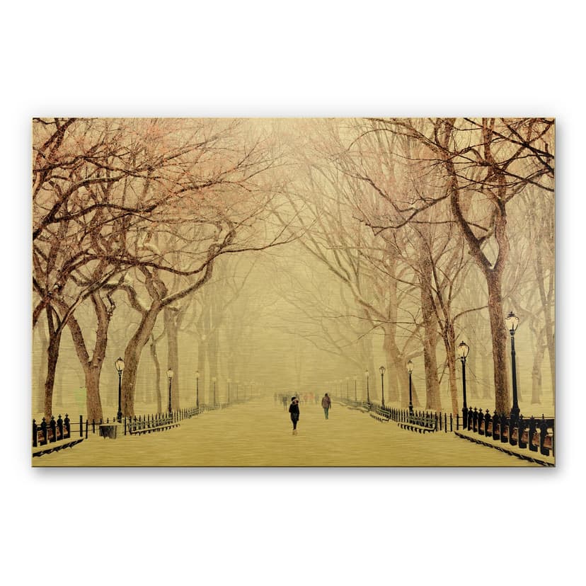 Stampa su Alu-Dibond - Central Park