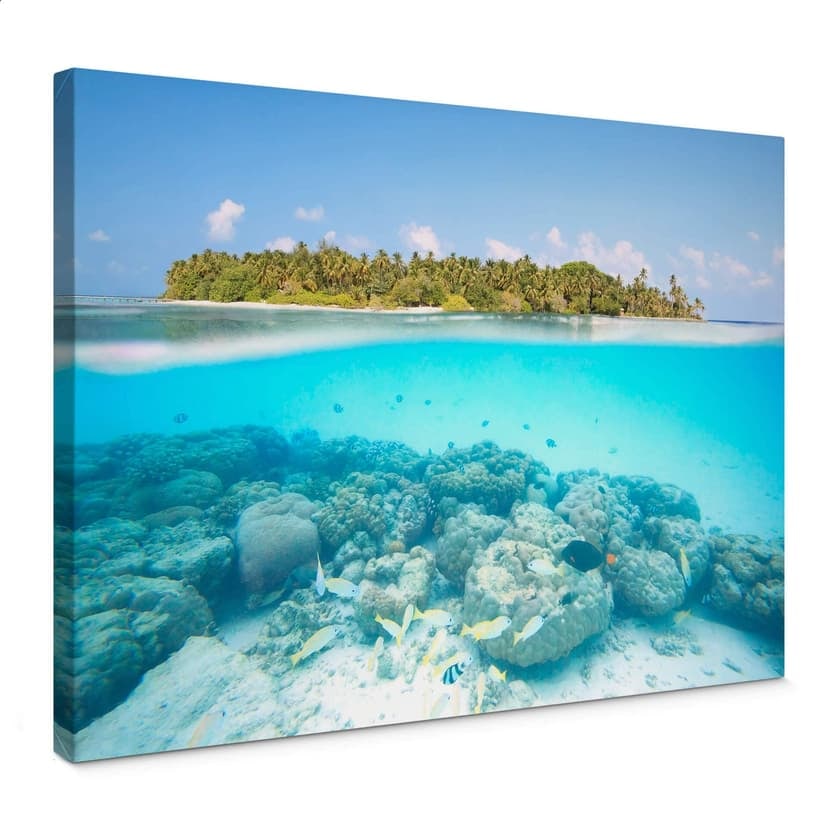 Stampa su tela Colombo - Il mondo sottomarino - Maldive
