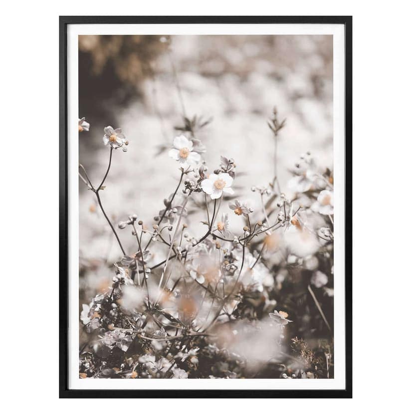 Poster Annie - Fiori selvatici