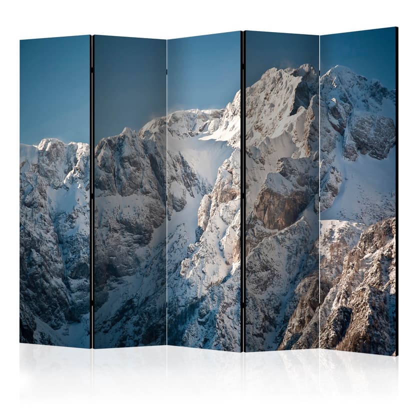 Divisorio - Inverno sulle Alpi , 5 pezzi - 225x172 cm