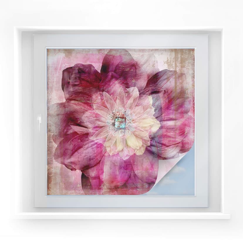 Pellicola adesiva per vetri - peonia rosa (quadrato)