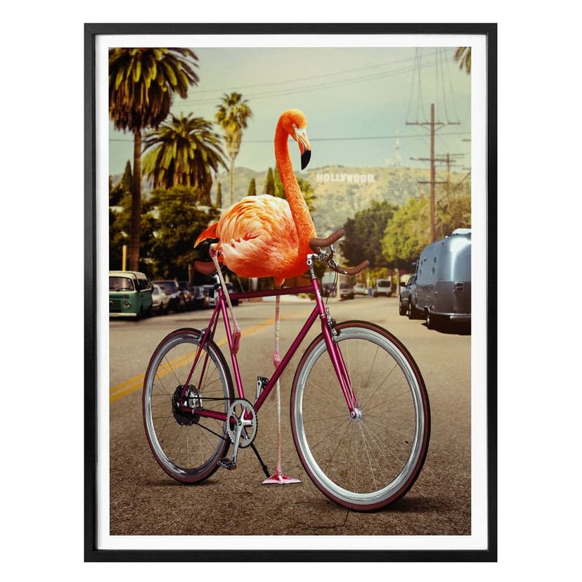 Poster Loose - Nothing is impossible