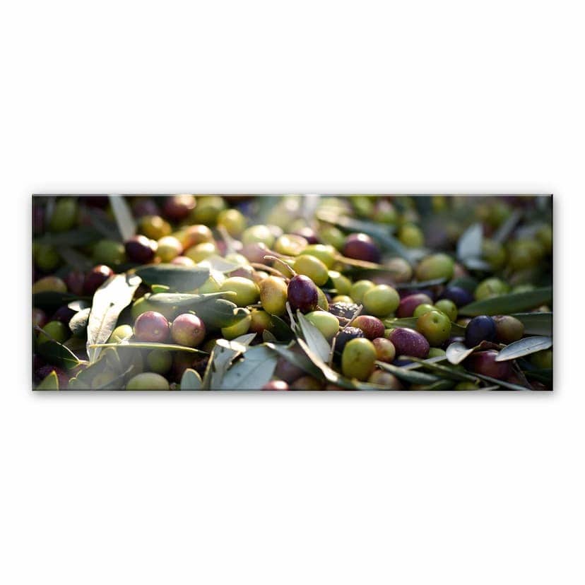 Stampa su vetro acrilico - Olive mediterranee - panoramica
