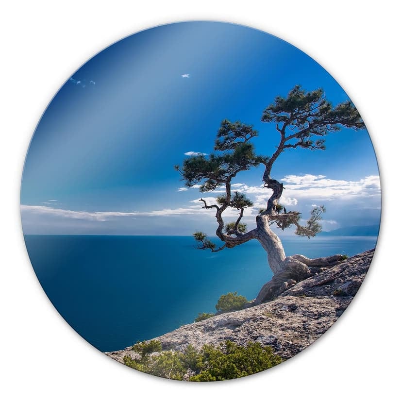Mare e albero - tondo