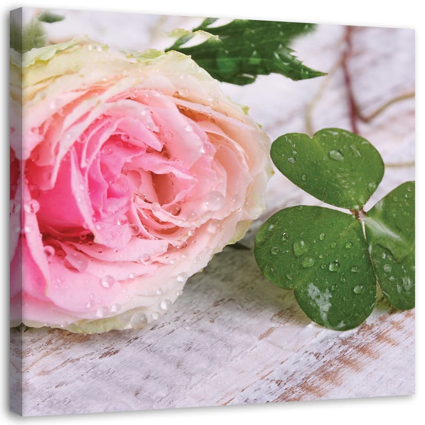 Stampe su tela, Fiori di rosa nella natura
