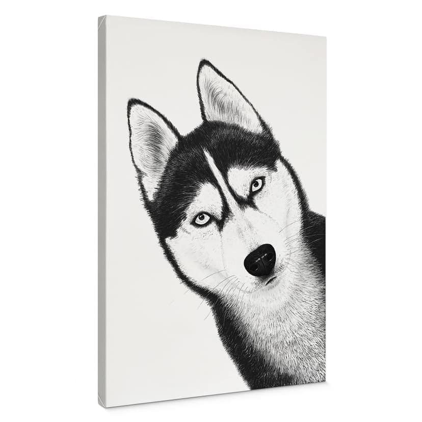 Stampe su tela Siberian husky - ritratto di cane - Korenkova