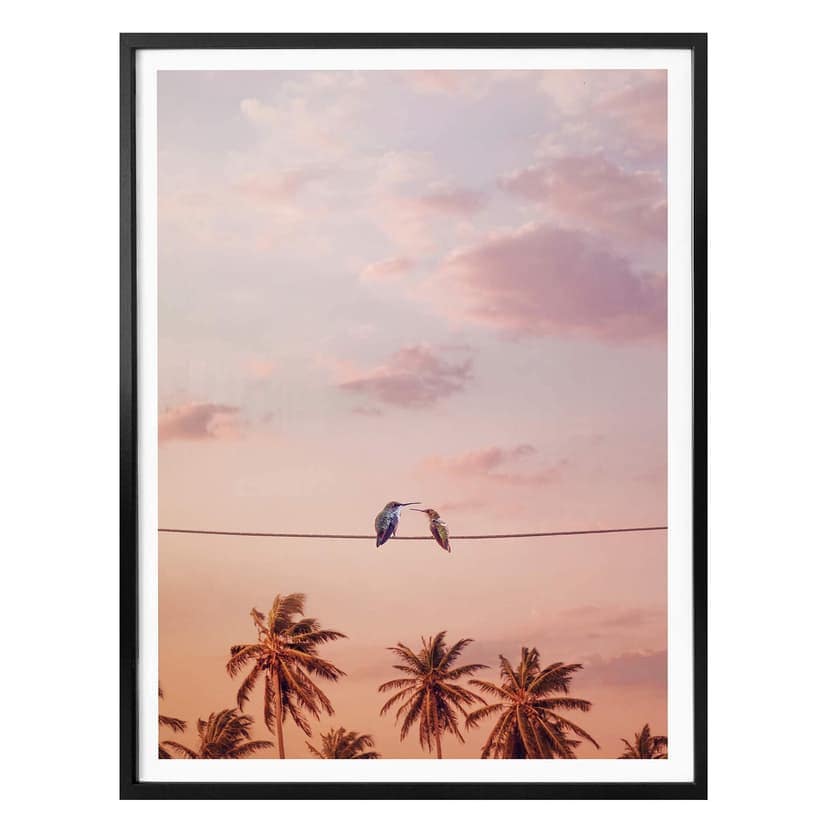 Poster Loose - In Love