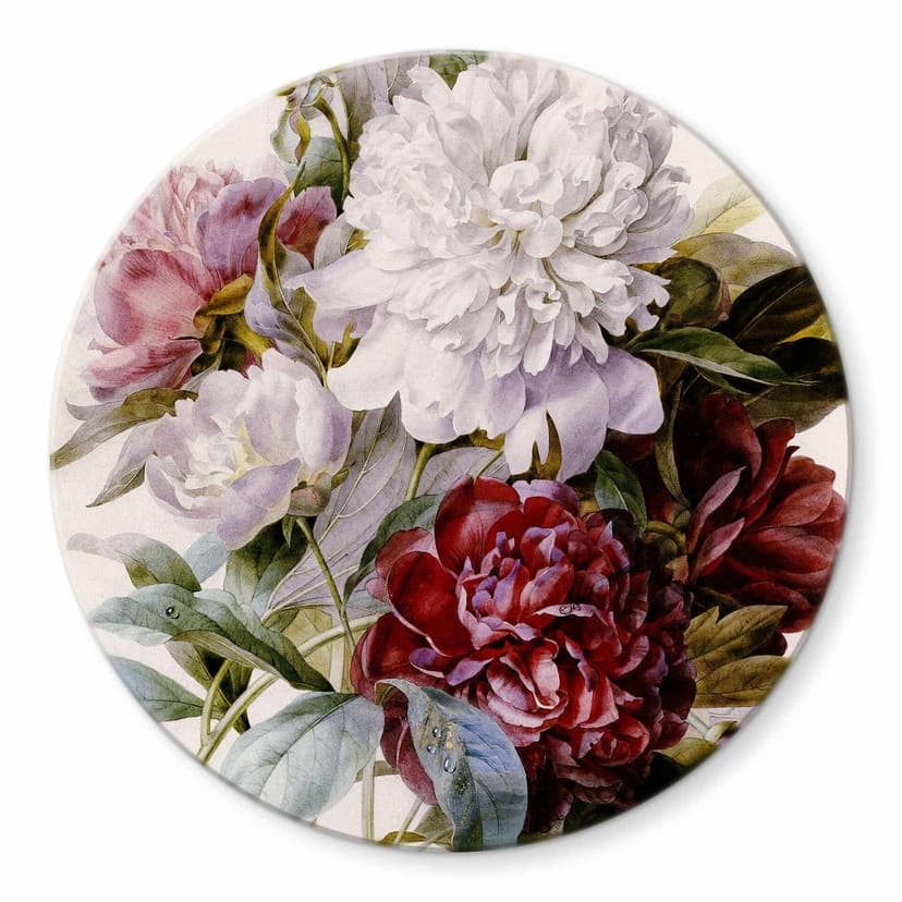 Stampa su vetro Redouté - Peonie
