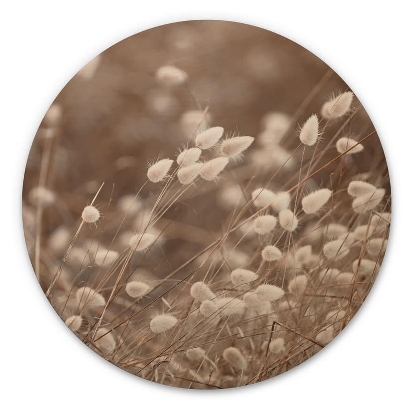 Stampa su legno Erbe delicate nella luce autunnale - Collins - Rotondo