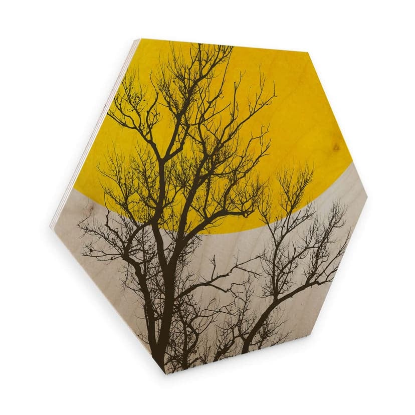 Esagoni in legno Kubistika - Ricordi d'autunno