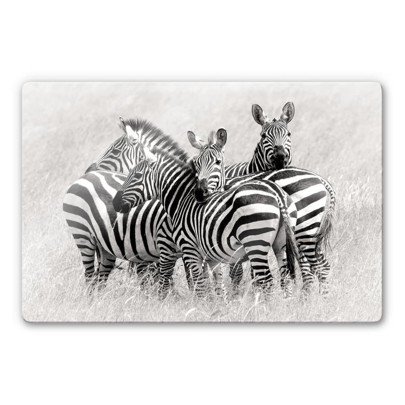 Stampa su vetro - Trubitsyn - Zebre nella savana