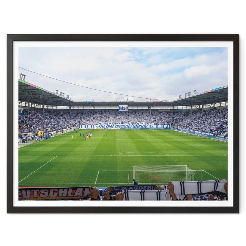 Poster FC Magdeburg Fans
