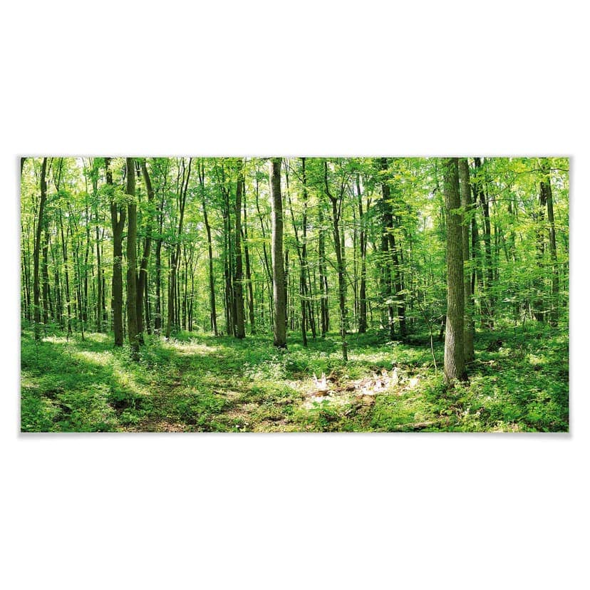 Poster - Panorama boscoso 02